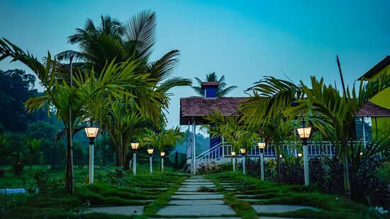 Why Dandeli Jungle Resort Offers the Perfect Blend of Adventure and Relaxation