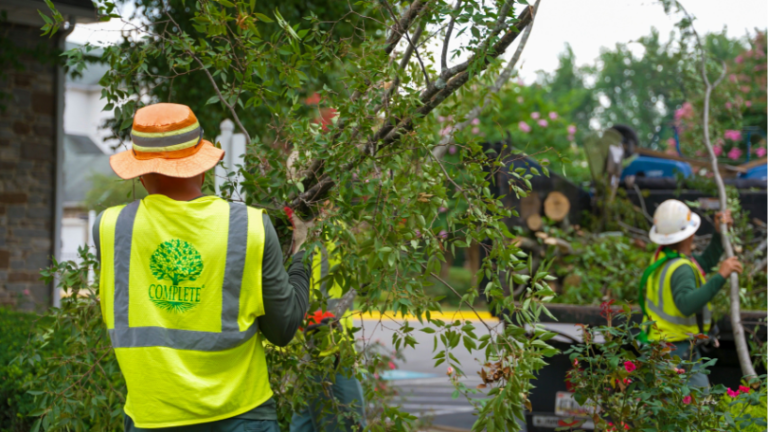 How to Choose the Right Luxury Property for Your Lifestyle