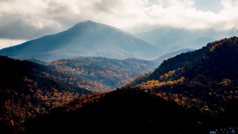 Exploring the Great Smoky Mountains: A Beginner’s Guide
