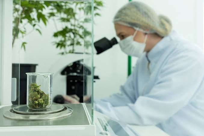How Lab Testing Changed the Cannabis Industry