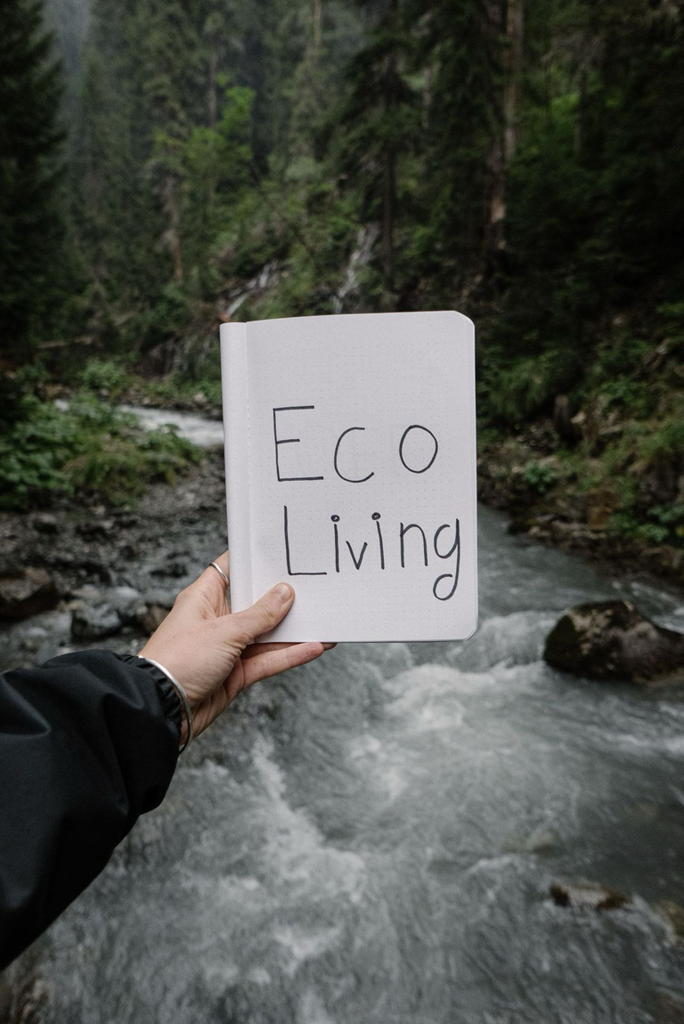 What It Really Means to Be a Responsible Traveller?